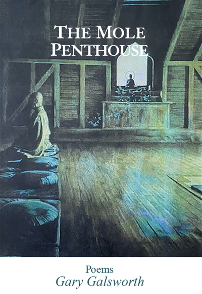 The Mole Penthouse Book